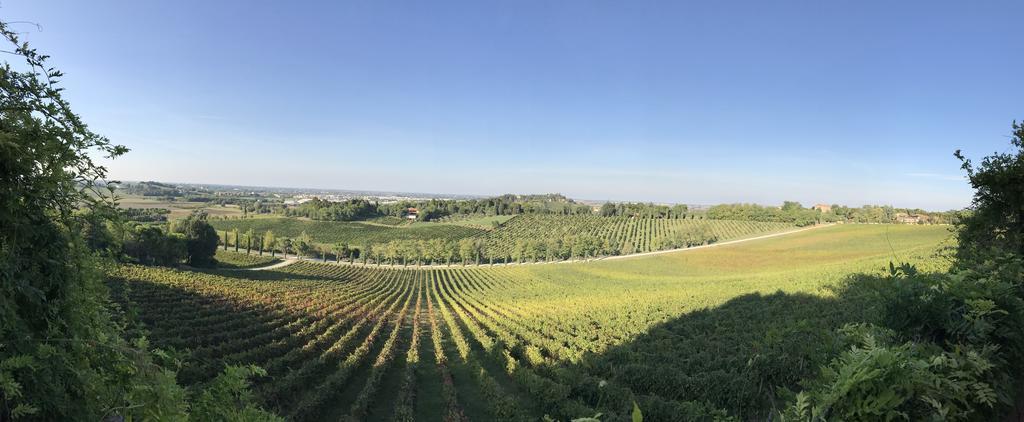 Fattoria Paradiso Bertinoro Εξωτερικό φωτογραφία