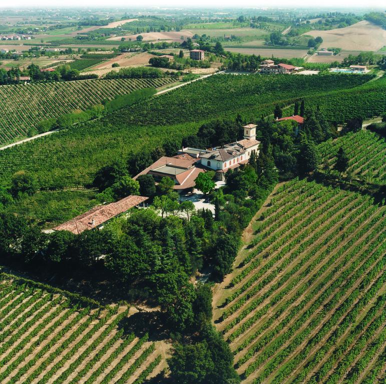 Fattoria Paradiso Bertinoro Εξωτερικό φωτογραφία